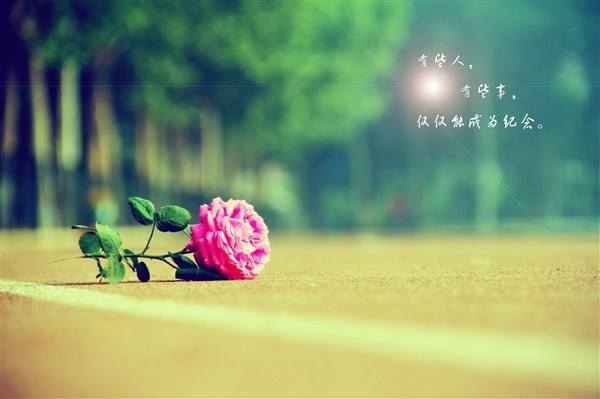 今生谁是谁的过客7172 作者:一粒麦子 帖子ID:327159 