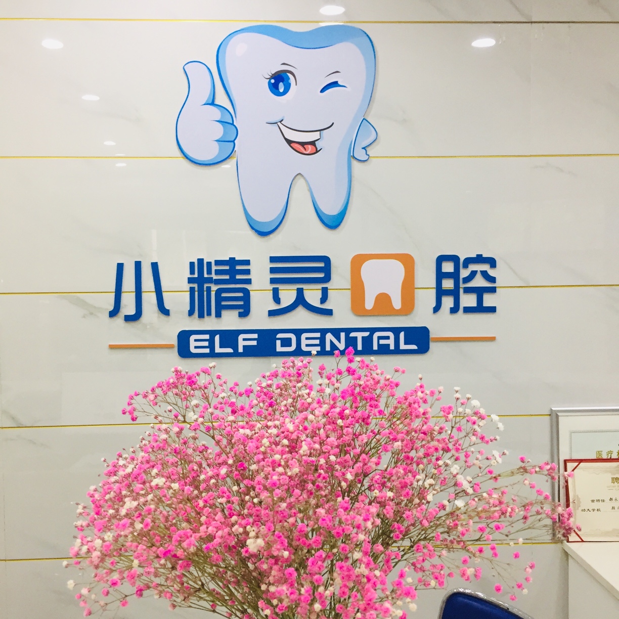 登封市市区小精灵口腔门诊部